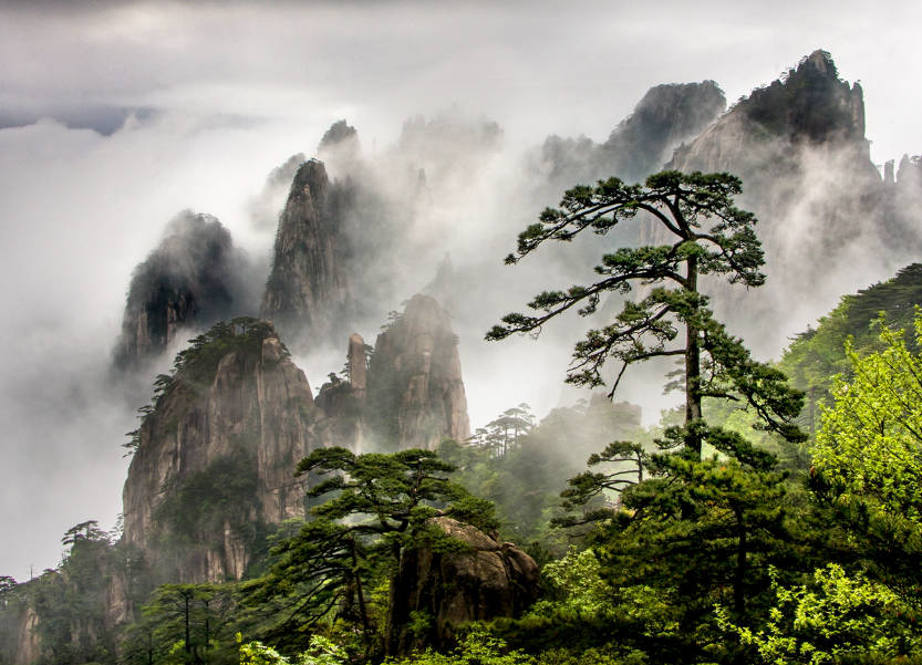 �����Ѵ���ȥ��ɽ���Σ���ѻ�ɽ�Լ��ܱߵ��µı��澰�㶼ȥ����