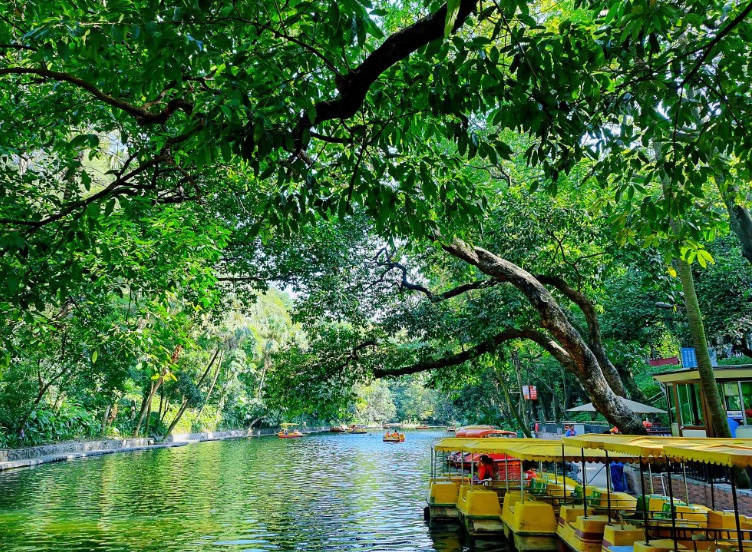 ������ת���ݣ�����ϸ����������