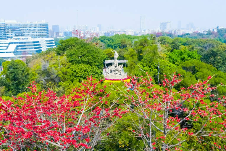 ����һ������ָ�ϣ��������ϳǵ�΢������