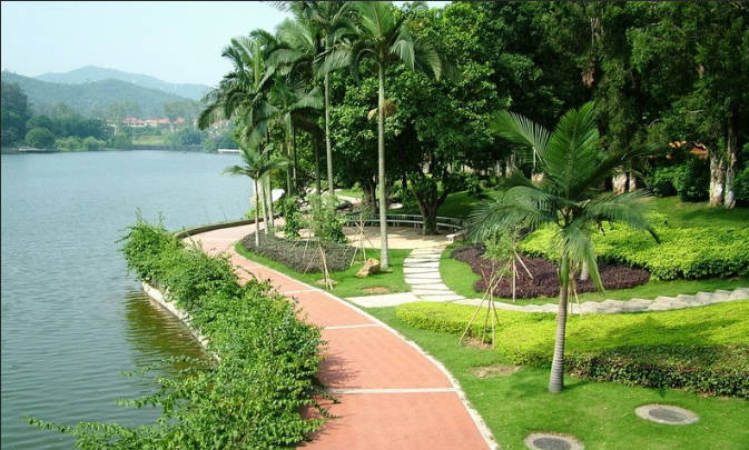 �㶫���α�ȥ�����Ƽ�����